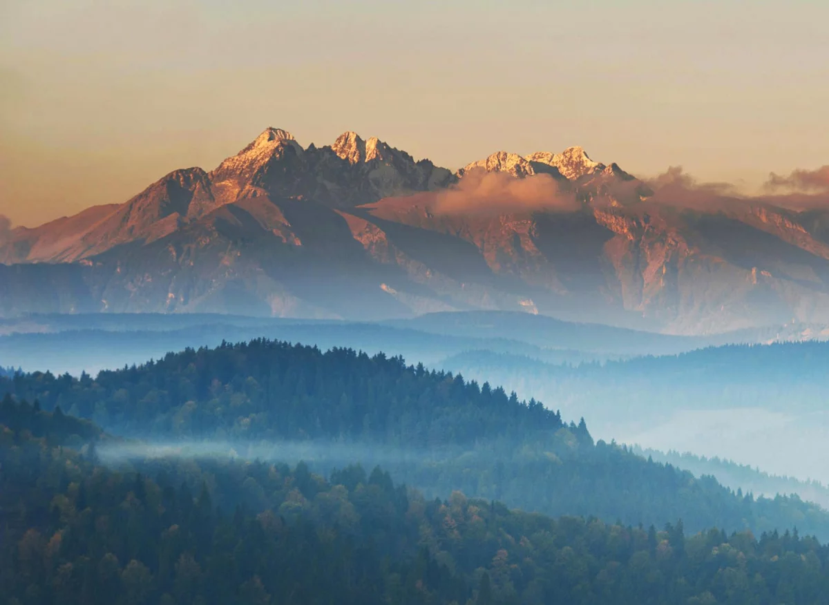 Dobre rady jak kupić oprogramowanie