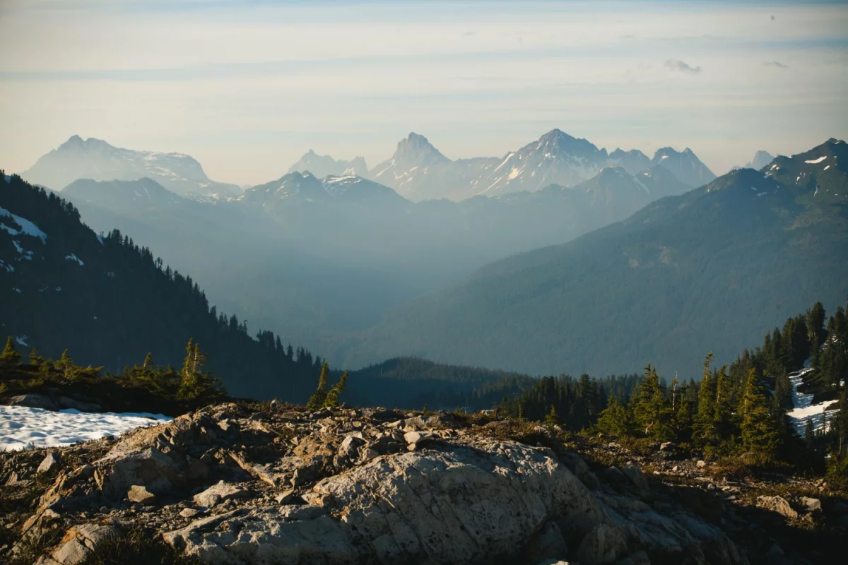  Ever wanted to choose a chauffeur to go about it? 