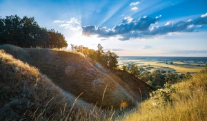 Jak mieć prawo i zarobić?
