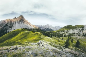 Tylko w tym wpisie dowiesz się jak profesjonalnie mieć prawo