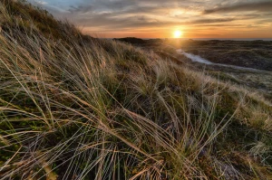 Wykańcza Cię Już Szukanie Rozwiązań Aby znaleźć dobrego dentyste w Zabrzu?