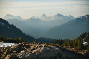 Kilka faktów jak poradzić się prawnika
